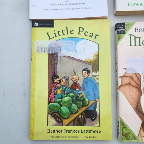 4 books book bundle Lot Set Chapter Books Young Adult Poem Literature Novels Sto - Picture 4 of 11